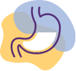 Stomach icon representing digestion