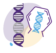 Vector illustration showing the unpacking of  the new gene