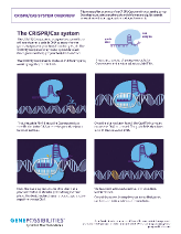 Thumbnail of CRISPR/Cas System PDF