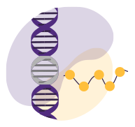 Protein being produced by a DNA strand