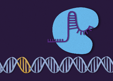 Gene-editing process illustration with  complete edited DNA strand